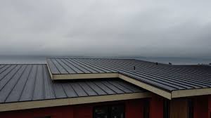 Best Metal Roofing Installation  in Zionsville, IN